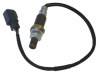 OXYGEN SENSOR QUANTUM Photo