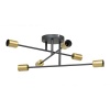 The Lighting Warehouse - CSFM Acrox 6 Light Black S/Brass - 23873SB Photo