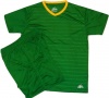 Everest - Celtic Emerald And GoldÂ Soccer Kits - Packs of 14 Photo