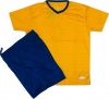 Everest - Celtic Gold And Royal Soccer Kits - Packs of 14 Photo