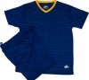 Everest - Celtic Royal And Gold Soccer Kits - Packs of 14 Photo