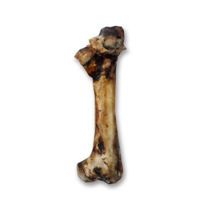 Photo of Yips & Yaps Short Ostrich Bone