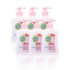 Dettol Hygiene Liquid Hand Wash Pump - Skincare - 12 x 200ml Photo