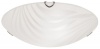 Ceiling Fitting with Pattern Frosted White Glass Photo