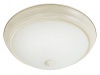French White Finish Ceiling Fitting with Frosted Glass Photo