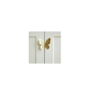 Butterfly Door Handle Photo