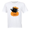 Halloween Kitten in a Pumpkin - Kids T-Shirt Photo