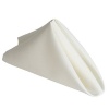 Set of 10 Polyester Napkins 50x50cm- Ivory Photo