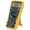 FLUKE 175 - Digital Multi-meter Fluke 170 Series Photo