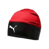 Puma Men's LIGA Training Beanie Photo