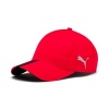 Puma Men's LIGA Training Cap Photo