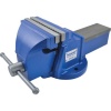 Senator 150mm Light Duty Bench Vice Photo