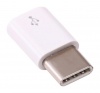 Raspberry Pi 4 USB Adapter Female Micro USB To Male USB-C White Photo