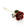 24K Gold Plated Premium Rose Photo