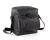 Creative Travel Thermo 12-can Cooler Photo