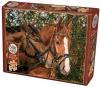 Cobble Hill Friends Forever 275 Piece Easy Handling Puzzle Photo