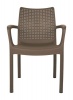 Zsa Zsa Armchair Photo