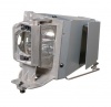 Optoma DW441 Projector Lamp - Philips Lamp In Housing From APOG Photo