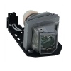 Optoma VDHDNUE Projector Lamp - Philips Lamp In Housing From APOG Photo