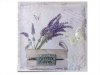 Canvas Lavendar Herb Photo