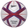 Mitzuma Futsal Red Ball Photo