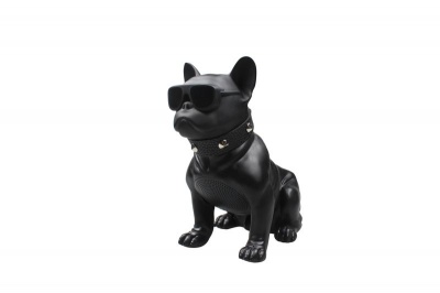 Photo of AIWA bluetooth dog speaker Black