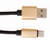 1M USB Charging & Data Transfer Cable - Type C - Black & Gold Photo