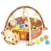 Baby Gym Rack and Gamepad Combo Photo