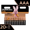Duracell Plus Power Alkaline AAA Batteries Photo