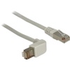 Delock 0.5m Rj45 Cat6 Sstp Angled/Straight Photo