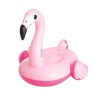 Pool Lilo Inflatable Flamingo Rider Photo