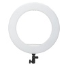 18" LED Changing Colour Ring Light with Stand Photo