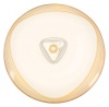 24 Watt LED Ceiling Fitting with Brown Acrylic Cover Photo