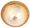 Gold Ceiling Fitting with Frosted Patterned Glass Photo