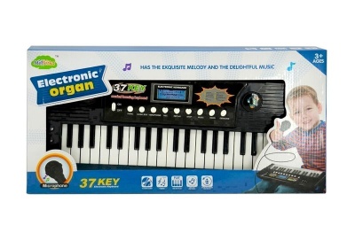 Bo Electronic Organ 37 Keys