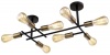 Black and Brass Chrome Ceiling Fitting Photo