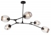 Bright Star Lighting Black Ceiling Fitting with Smoke Glass Photo