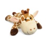 Cuddle Giraffe Photo