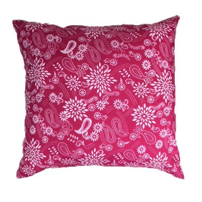 Photo of Pink Paisley Scatter Cushion Cover with Inner 60cm x 60cm