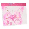 Fairy Outfit With Wings And Headband â€“ 50cm x 40cm Photo