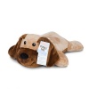 Melissa & Doug Cuddle Dog Photo