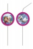 Frozen Northern Lights Medalion Flexi Drinking Straws 6pack Photo