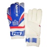 Admiral Pro Goalkeeper Gloves Photo