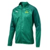 Puma Men's Mamelodi Sundowns Poly Jacket Pepper - Green Photo