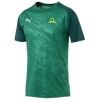 Puma Men's Mamelodi Sundowns Short Sleeve T-Shirt Pepper - Green Photo