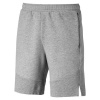Puma Men's Evostripe Shorts - Grey Photo