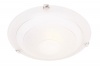 Ceiling Fitting with Silver Patterned Alabaster Glass with Silver Clips Photo