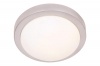 Silver Base Ceiling Fitting with White Glass Photo
