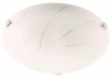 Ceiling Fitting with Circular Patterned Glass and Chrome Clips Photo