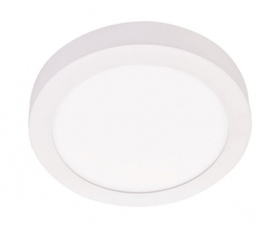 Photo of Bright Star Lighting White Base Ceiling Fitting with Polycarbonate Cover
